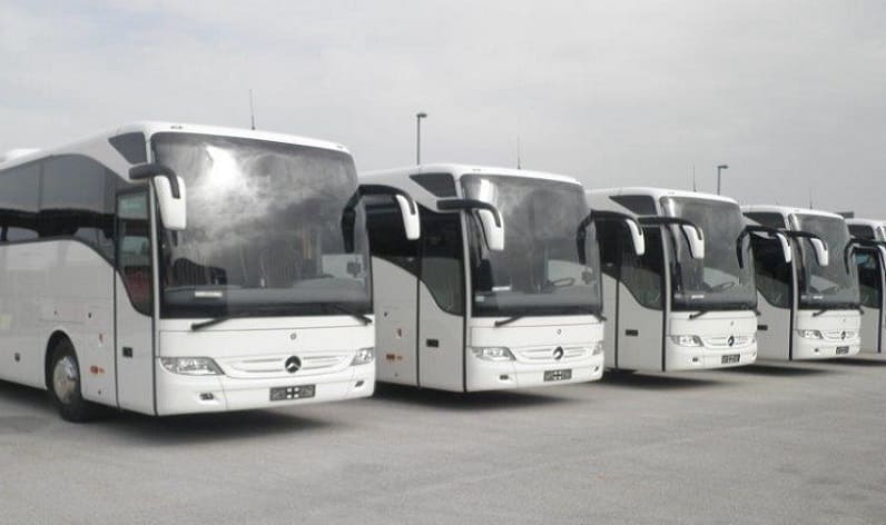 Europe: Bus company in Italy in Italy and Italy