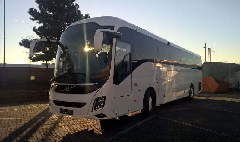 Monte-Carlo: Bus hire in Le Larvotto in Le Larvotto and Monaco
