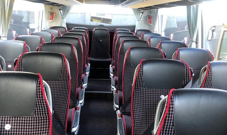 France: Coach booking in France in France and Occitanie